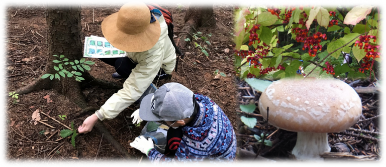 札幌市定山渓自然の村